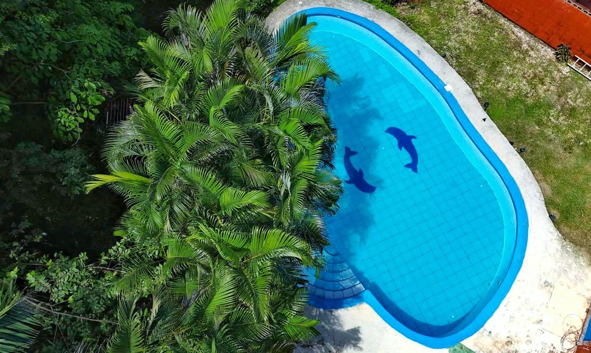 Hotel Georgi imagen 12