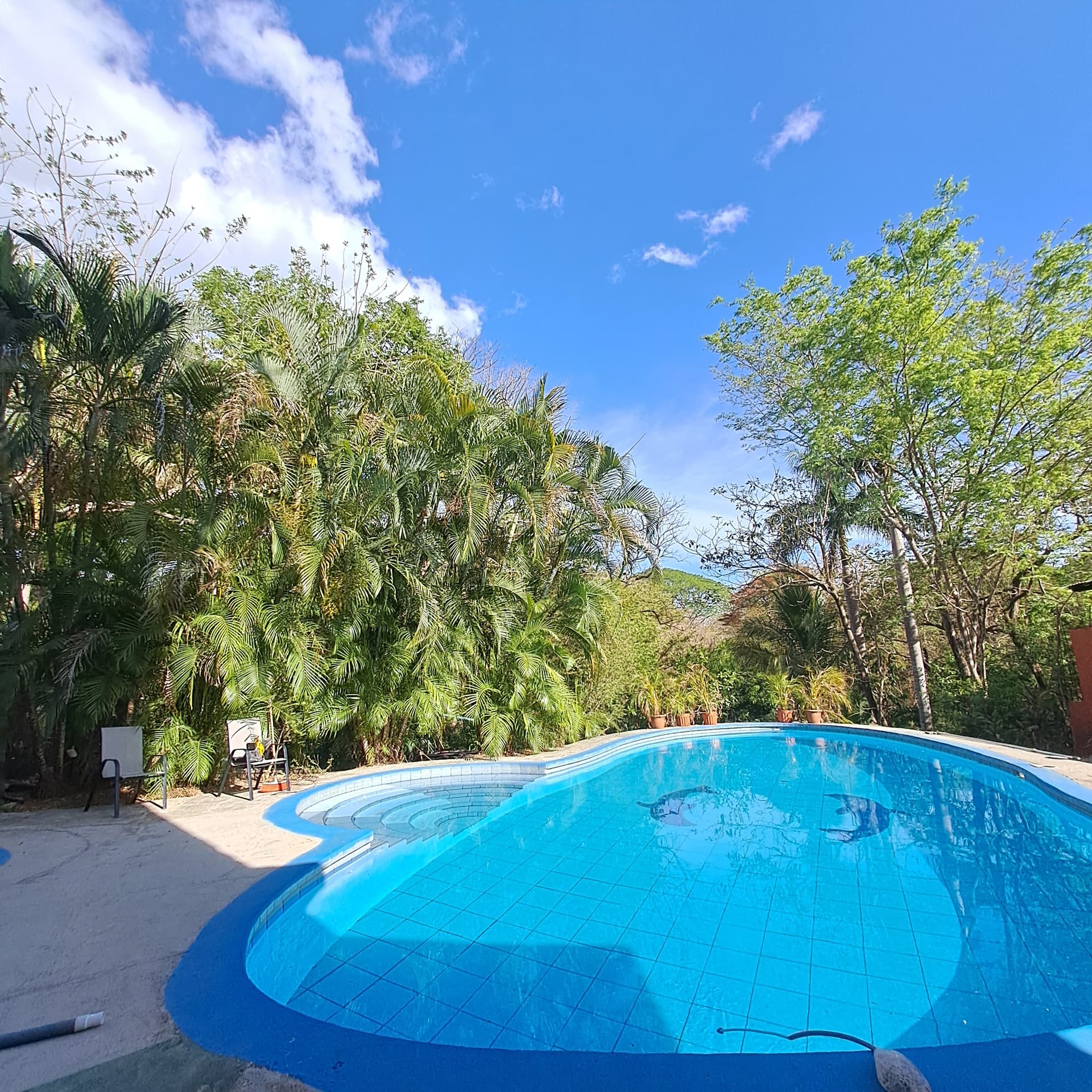 Hotel Georgi imagen 13